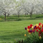 Spring in Spokane, Washington