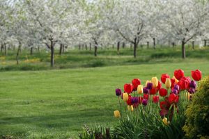 Spring in Spokane, Washington