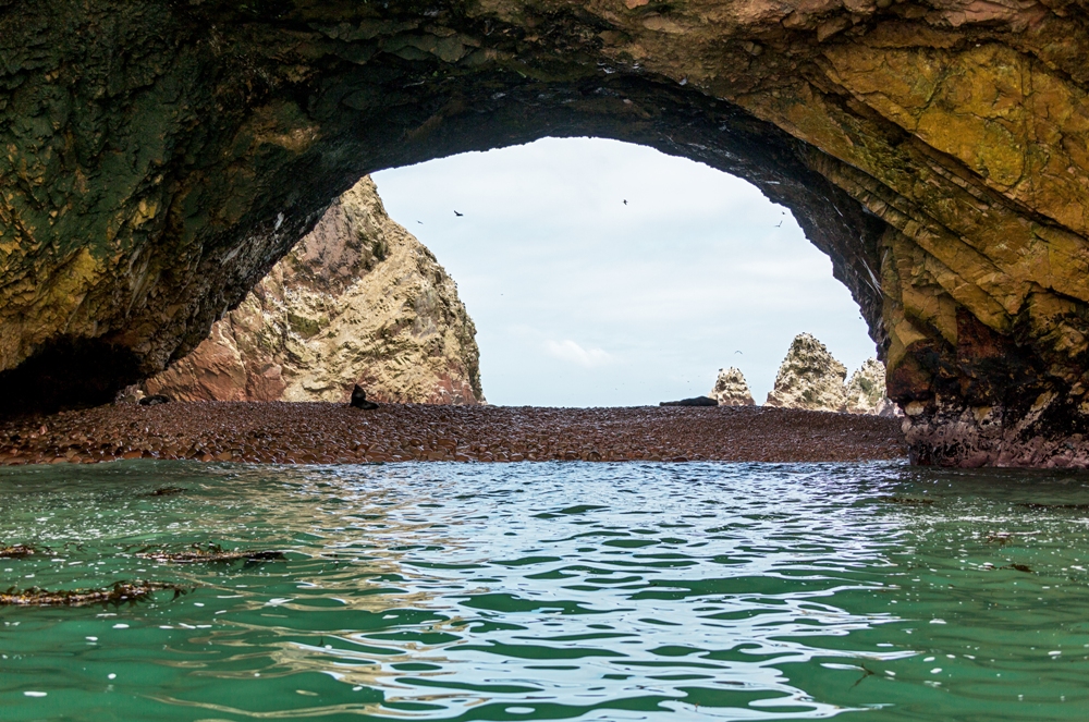 A Short Trip to the Islas Ballestas in Peru