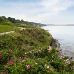 Rough Point – The Doris Duke House of Newport, Rhode Island