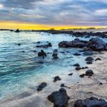 The Galápagos Islands, A Beginning