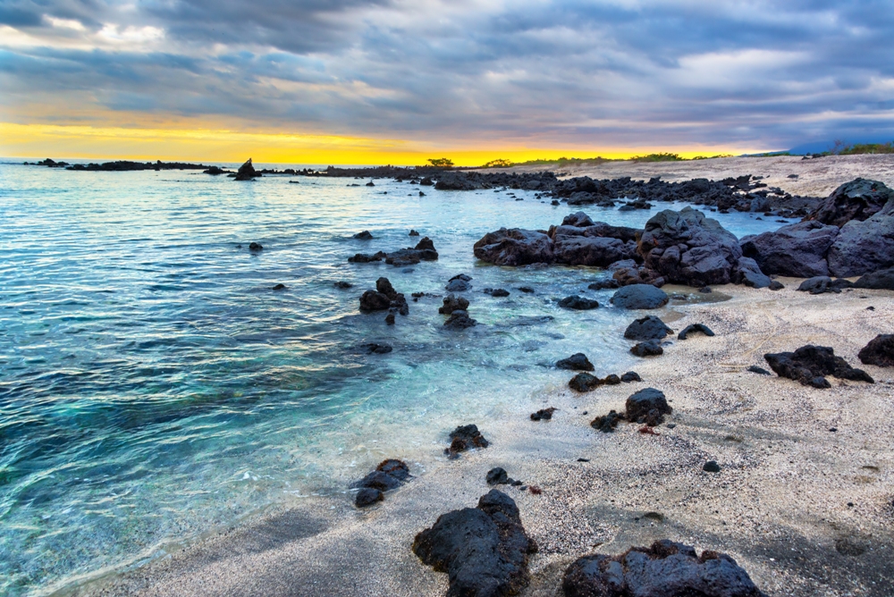 The Galápagos Islands, A Beginning